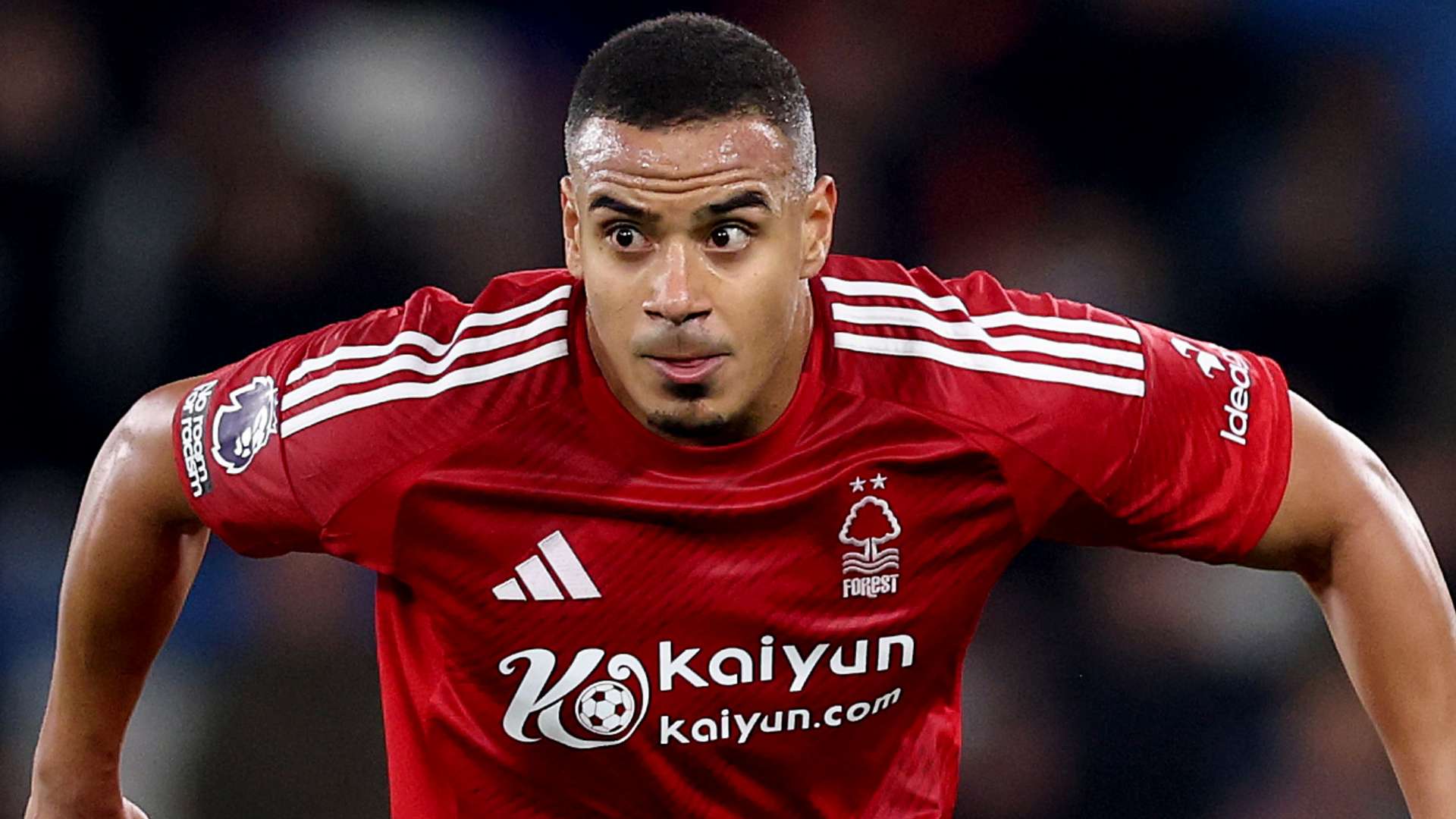 主场会提供 主场会提供